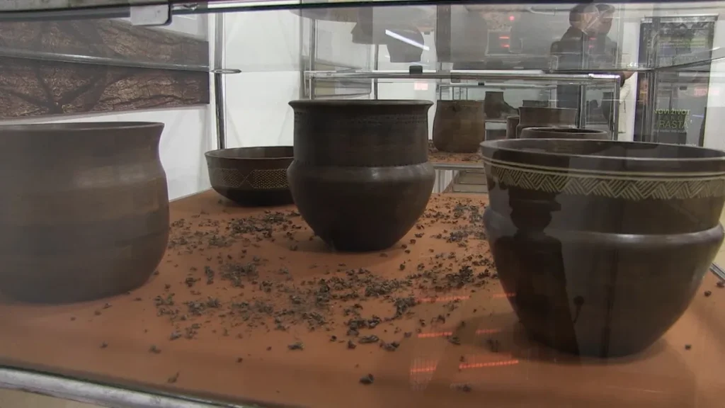 Izložba “Novi život starog hrasta”